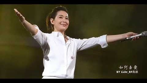 后来 刘若英 那些哭的一塌糊涂的演唱会现场