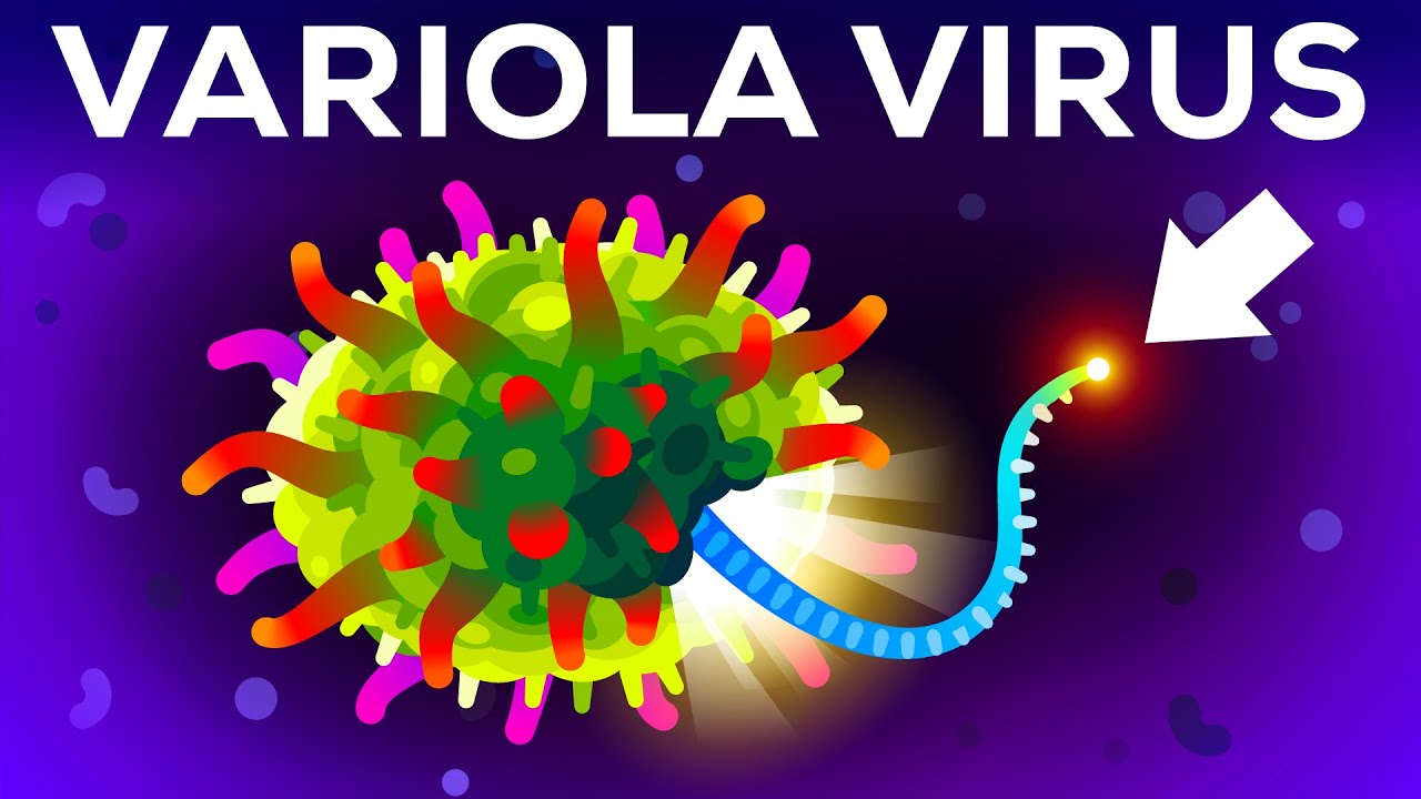 ⁣The (Second) Deadliest Virus