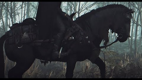 EVERYTHING IS ON ROACH