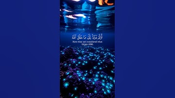 أولم يروا إلى ما خلق الله من شيء | سورة النحل | ياسر الدوسري 👀