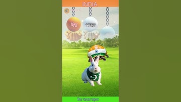 Indian National Anthem -Jana Gana Mana Indian Flag Making Indian 🐢 🇳🇪🆚Pakistani 🐇🇵🇰#art#shorts