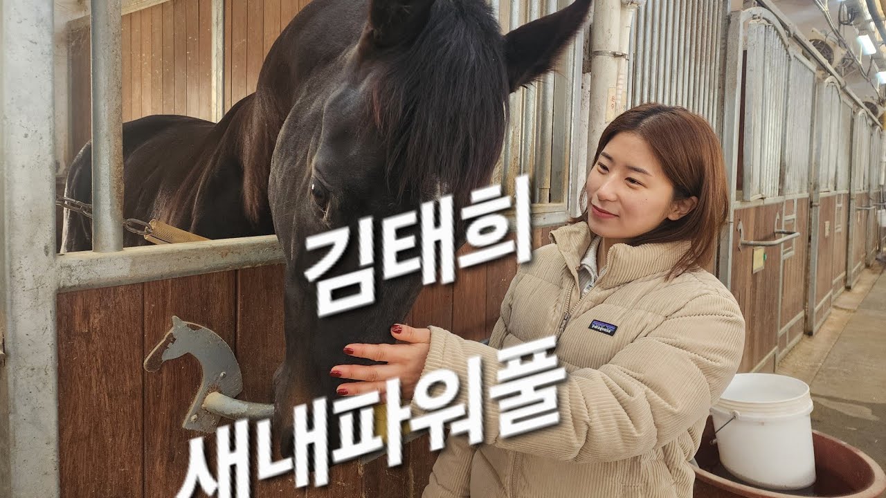 김태희의 악발이 새내파워풀 승리를 누가 알았을까?