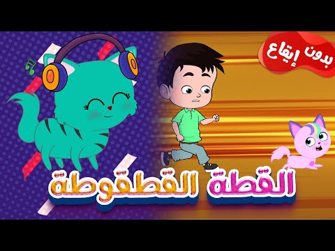 القطة القطقوطة بدون موسيقى حيوانات الغابة
