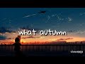 this is what autumn feels like - JVKE (lyrics)