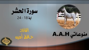 قراءة جميلة من اواخر سورة الحشر للقارئ حافظ امين . A beautiful reading from  Surat Al-Hashr by Hafez
