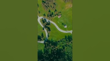 سورة الأنعام الشيخ سعد الغامدي