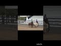 Mardônio x Sabrina Show #resenhavaqueira #playvaquejada #vaquejada #tvvaquejada #cortes Rufina Borba