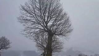 Experiencing South Italy winter for the first time Does It Snow In Southern Italy