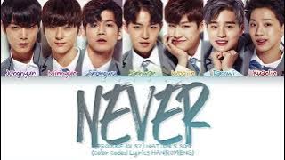 [PRODUCE 101 S2] Nation’s Son 'NEVER' Lyrics (Nation’s Son NEVER 가사) (Color Coded Lyrics)