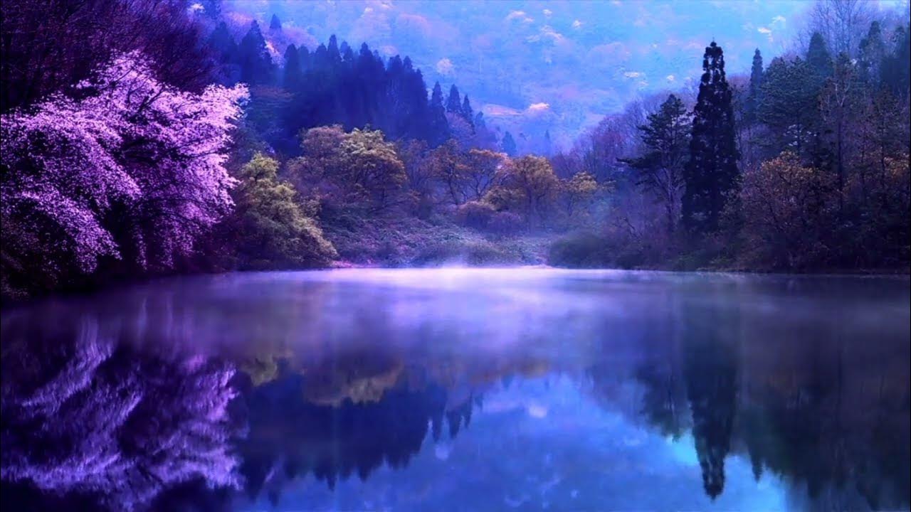 Pixabay_Pexels_Free Video_Collaboration_Collection Beautiful_Video