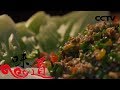 《味道》 我的家乡菜·粤菜篇 20200215 | 美食中国 Tasty China