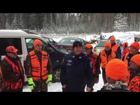 Video: Mitä on hirven selailu?