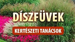 Díszfüvek 1. - Díszfüvek bemutatása, ültetés, teleltetés