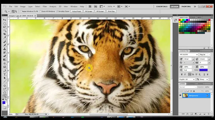 Photoshop CS5 Basic Tools Tutorial