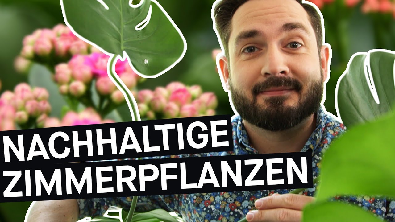 Update Nachhaltige Zimmerpflanzen: Wie ökologisch ist der Urban Jungle zuhause? || PULS Reportage