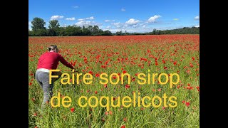 219 Sirop de coquelicot et gelée de coquelicot