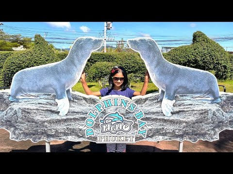 Dolphins Bay Phuket | The Amazing Dolphin Show | Phuket | Thailand