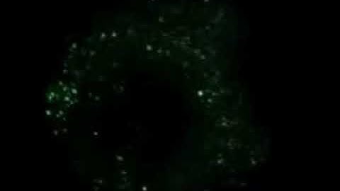 Observation of individual atoms: field ion microscopy