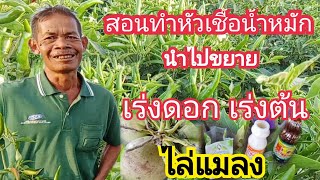 ทำหัวเชื้อน้ำหมัก สามารถนำไปขยาย เป็นสูตรต่างๆได้ เร่งต้น เร่งดอก สูตรไล่แมลง