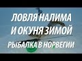 ЛОВЛЯ ОКУНЯ И НАЛИМА ЗИМОЙ СО ЛЬДА. ПОДЛЕДНАЯ РЫБАЛКА В НОРВЕГИИ