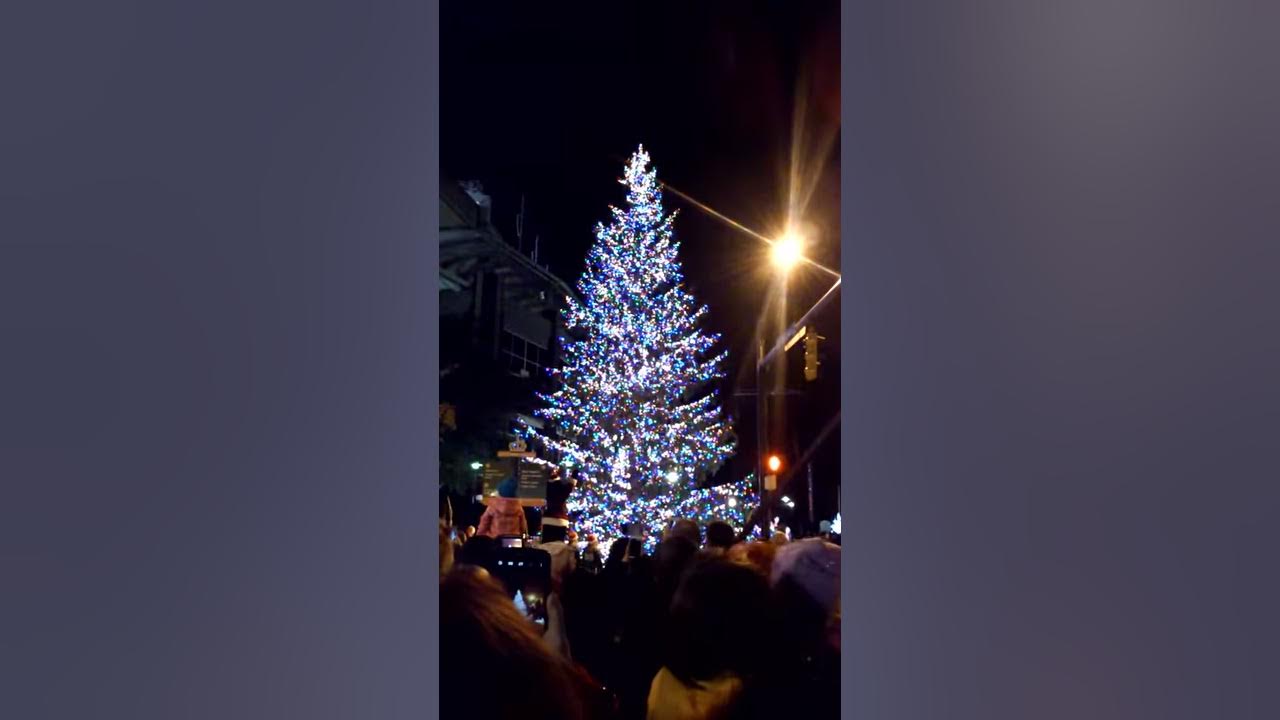 Charlotte Christmas Tree Lighting 2015 YouTube