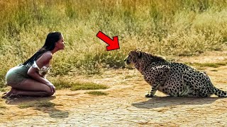 Cheetah Recognizes Woman Who Saved His Life Years Ago