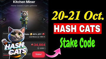 Hash Cats Stake Code Today | 20-21 October HashCats Stake Code | Hash Cats Stake Password Today