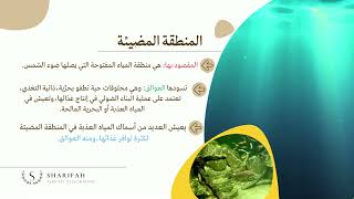 الأنظمة البيئية المائية ( بيئة 1-1 )  مسارات