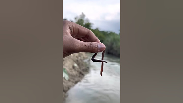 Survival skills: amazing dirty waterpurificationfilter #camping #survival #bushcraft #outdoors