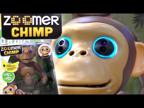 Zoomer