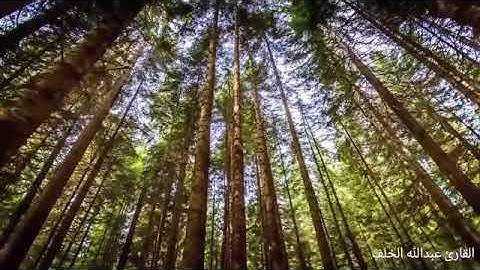 ٤٠- سورة غافر - بصوت القارئ عبدالله الخلف 1437