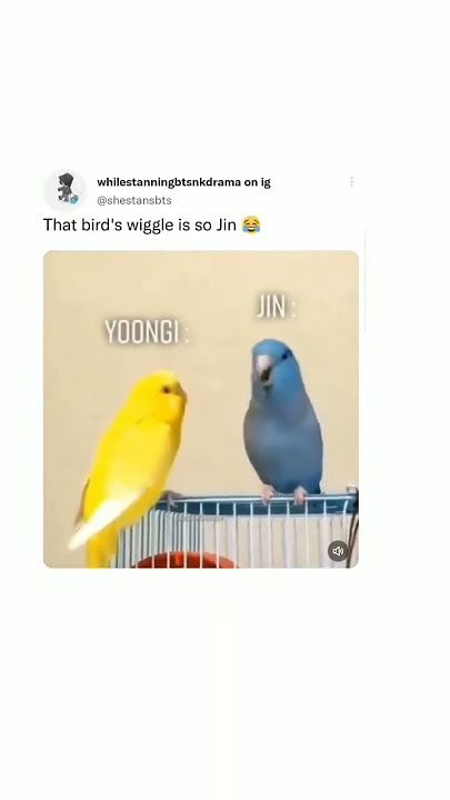 the bird's wikkle so jin 😂😂 #shorts #jin #yoongi