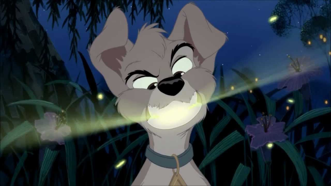 Scamp and Angel Music video-Something that I want