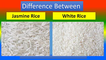 Which brand of jasmine rice is the best?