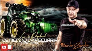 Os Menino da Pecuária Funk Remix - Dj André Zanella - Léo & Raphael