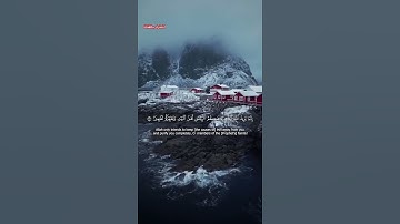 سورة الأحزاب الآيات ٣٣-٣٤/ Surah Al-ahzab