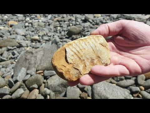 Fossil hunting at Bearreraig Isle of Skye Scotland 16th May 2021