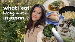 what i eat in a week living alone in japan