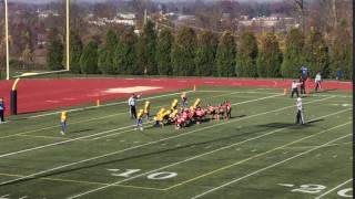 IMG 0995
