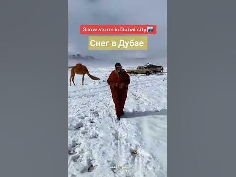 снег в Дубае - YouTube