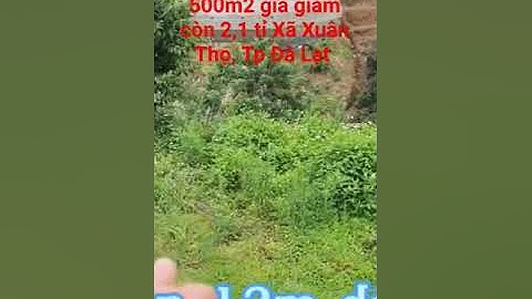 500m2 giá giảm còn 2,1 tỉ Xã Xuân Thọ, Tp Đà Lạt p03. 0962004900 #shorts