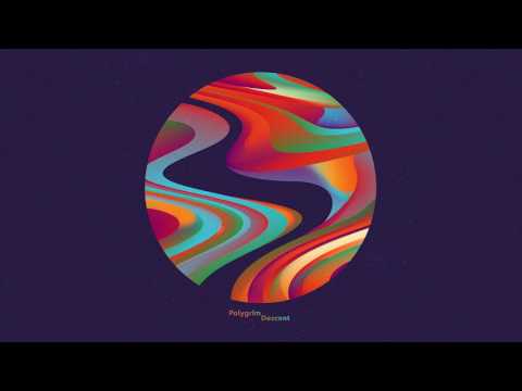 Polygrim — Polygrim - Simplify