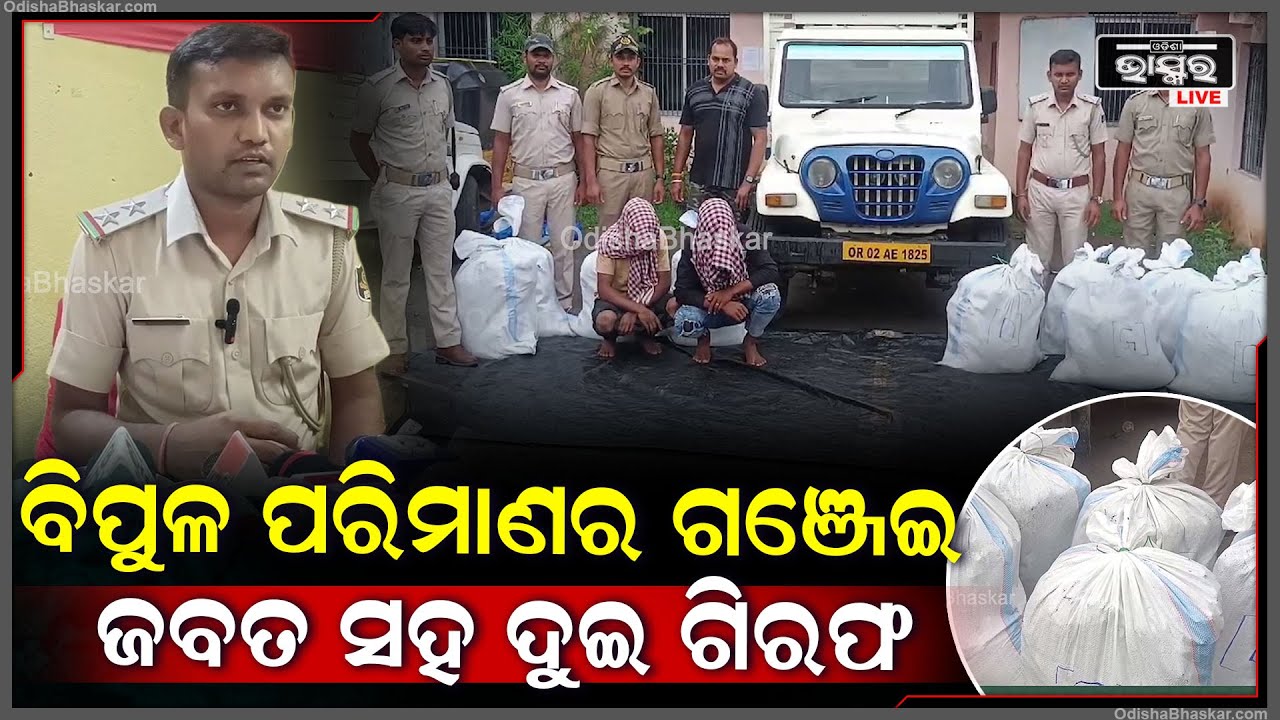 ବିପୁଳ ପରିମାଣରେ ଗଂଜେଇ ସହ ପିକଅପ ଭ୍ୟାନ୍କୁ ଜବତ କରିଛି ପୋଲିସ, ଦୁଇ ଗିରଫ