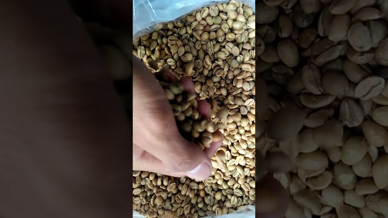 Liberica Coffee Whatsapp +62822 2221 1225