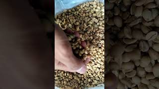 Liberica Coffee Whatsapp +62822 2221 1225