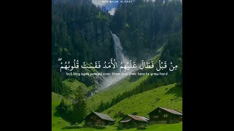 حالات واتس اب تلاوة خاشعة🎧 القارئ سعد الغامدي 💛