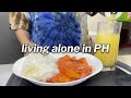 Vivre seul et faire ce que je veux   vivre seul aux philippines