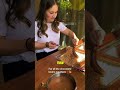The Easiest Million-Dollar Chocolate Snack Idea #business #businessidea #chocolate