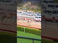 camel race video daka chanal subscribe Kara like Kara 27.3.2026