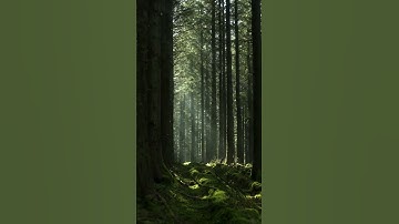 Thumbnail of Skott - Overcome